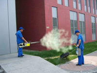 �⻷��ɱ��