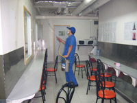 ��������Ӭ