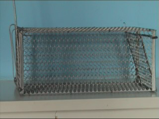 ��ɫ������