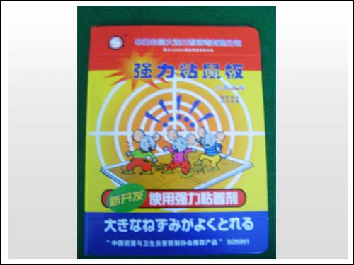 ���ڽ�ճ�����