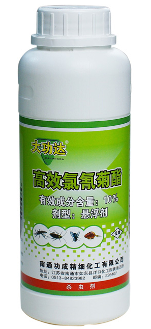 10%��Ч�������