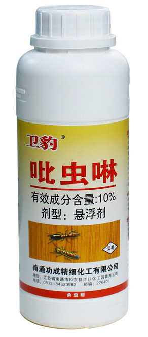 10%������������