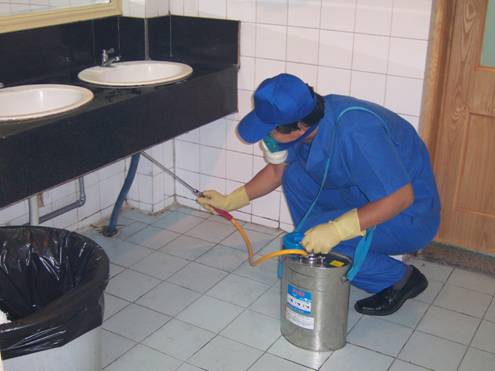 ѧУɱ�����