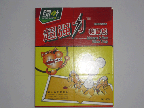 ��ǿ�����